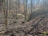 00 Fork Lick Road - Photo 35