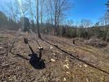 00 Fork Lick Road - Photo 37