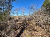 00 Fork Lick Road - Photo 38