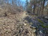 00 Fork Lick Road - Photo 39