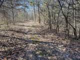 00 Fork Lick Road - Photo 42