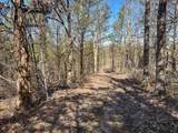 00 Fork Lick Road - Photo 43
