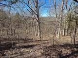 00 Fork Lick Road - Photo 47