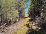 00 Fork Lick Road - Photo 48