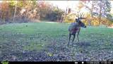 00 Fork Lick Road - Photo 53