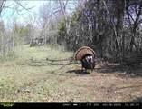 00 Fork Lick Road - Photo 55