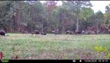 00 Fork Lick Road - Photo 56