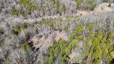 00 Fork Lick Road - Photo 8