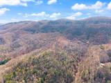790 Dinah Blair Hollow Road - Photo 12