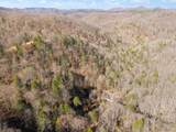 790 Dinah Blair Hollow Road - Photo 15