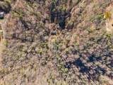 790 Dinah Blair Hollow Road - Photo 21