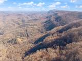 790 Dinah Blair Hollow Road - Photo 24