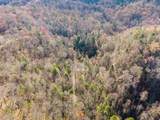 790 Dinah Blair Hollow Road - Photo 3