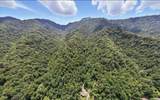 20 Tan Trough Hollow Road - Photo 10