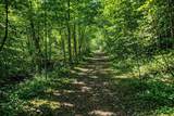 20 Tan Trough Hollow Road - Photo 11