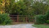 Lot - East Drive - Photo 11