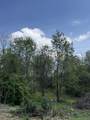 Lot - East Drive - Photo 9