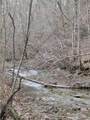 456 Arnetts Fork Road - Photo 2