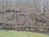 456 Arnetts Fork Road - Photo 3