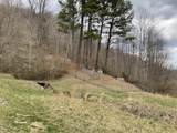 456 Arnetts Fork Road - Photo 30