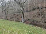 456 Arnetts Fork Road - Photo 4