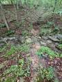 0 Beechmont Road - Photo 8