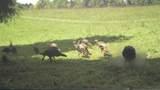 12195 Hwy 587 - Photo 101