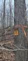 12195 Hwy 587 - Photo 85