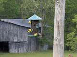 12195 Hwy 587 - Photo 99
