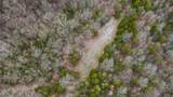 000 Hogg Ridge Road - Photo 11