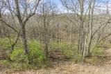 119 Blackberry Ridge Court - Photo 38