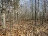 10 ac Old Beaty Pvt Road - Photo 2