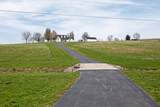 2289 Fall Lick Road - Photo 7