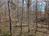 Lot 6 Woods Trail Drive - Photo 4
