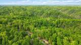 Lot 90 Sandstone Point Trail - Photo 5