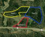 Tract 3 Scott Lane - Photo 1