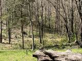 617 Walk Log Branch Road - Photo 66