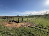 973 Levy Road - Photo 48