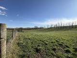 973 Levy Road - Photo 55