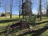 973 Levy Road - Photo 60