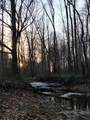 495 Clear Fork Branch Road - Photo 4