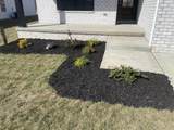 173 Ruth Miller Drive - Photo 3