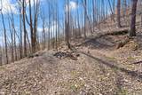 1197 Beans Fork Road - Photo 11