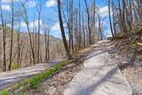 1197 Beans Fork Road - Photo 3