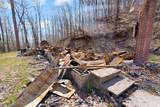 1197 Beans Fork Road - Photo 5