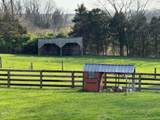 2447 Hall Road - Photo 59