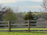 2447 Hall Road - Photo 60