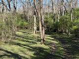 2447 Hall Road - Photo 67