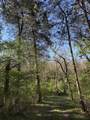 2447 Hall Road - Photo 68