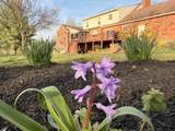 1101 Waddy Road - Photo 38